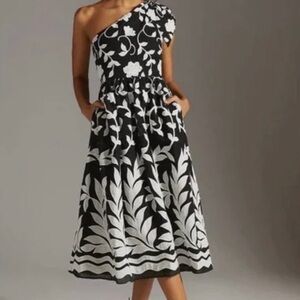 Beautiful embroidery Anthropologie a symmetrical dress